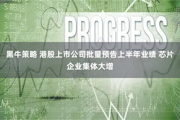 黑牛策略 港股上市公司批量预告上半年业绩 芯片企业集体大增